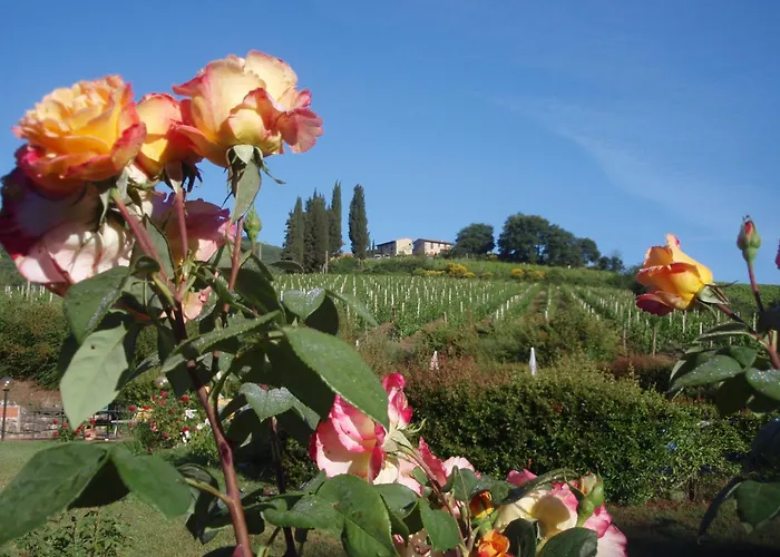 Villa Buonasera Agriturismo