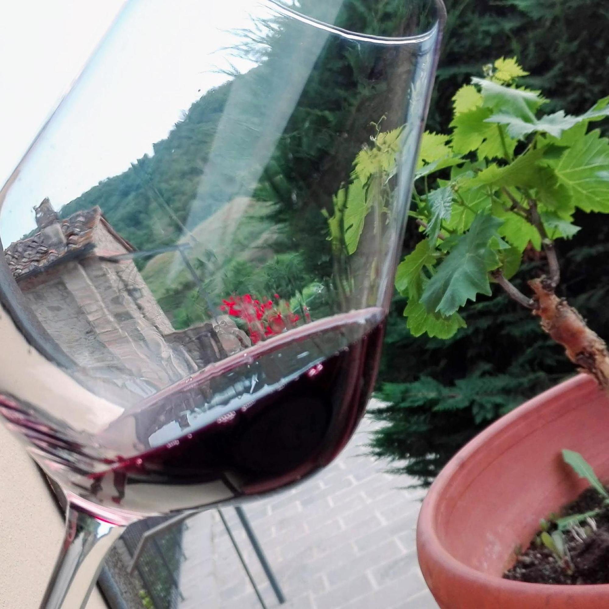 Agroturismo Buonasera *