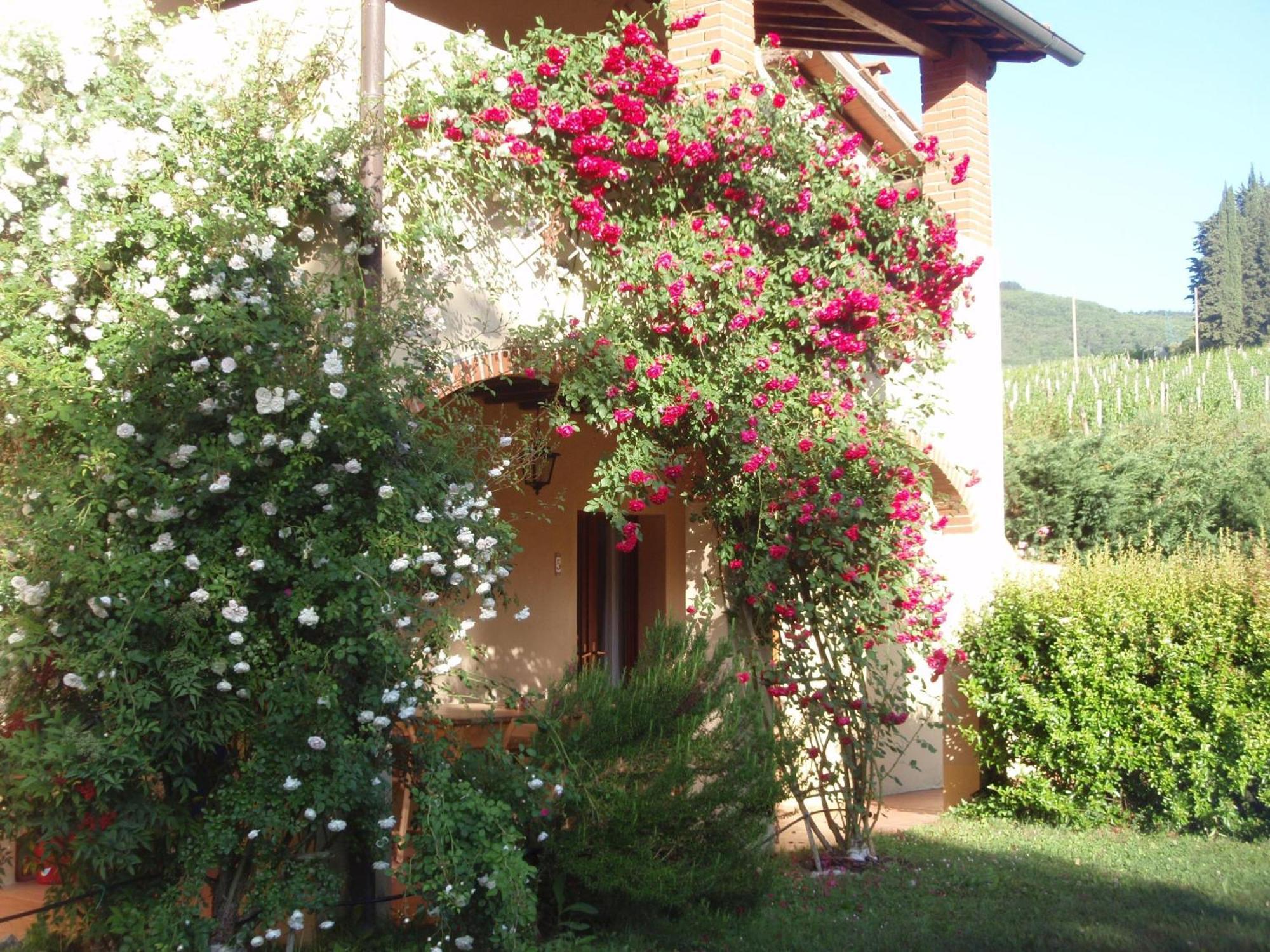Séjour à la ferme Buonasera